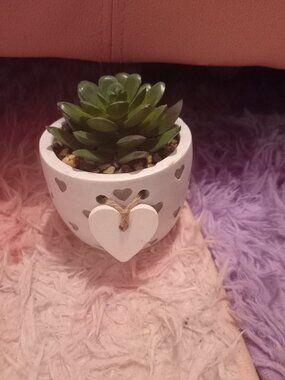 Faux Planter Pot (ARDENE)